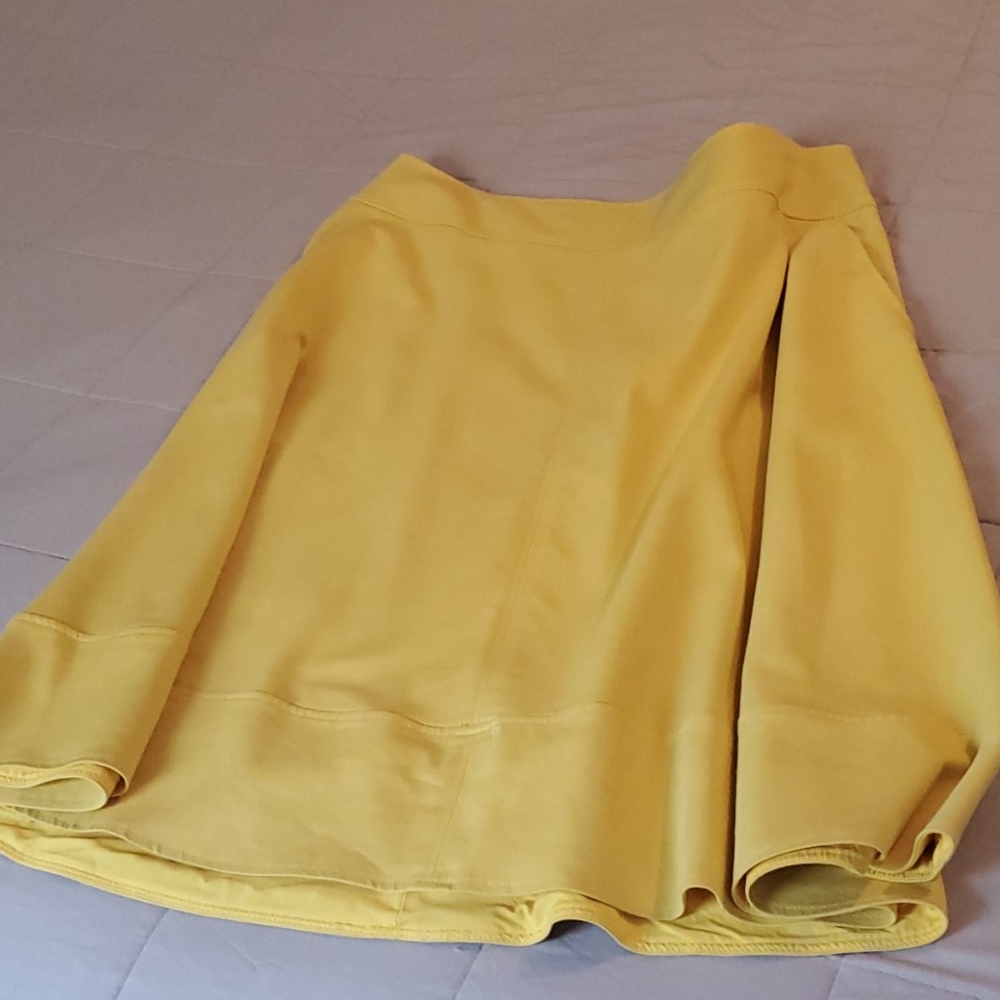 Skirt (the issue)